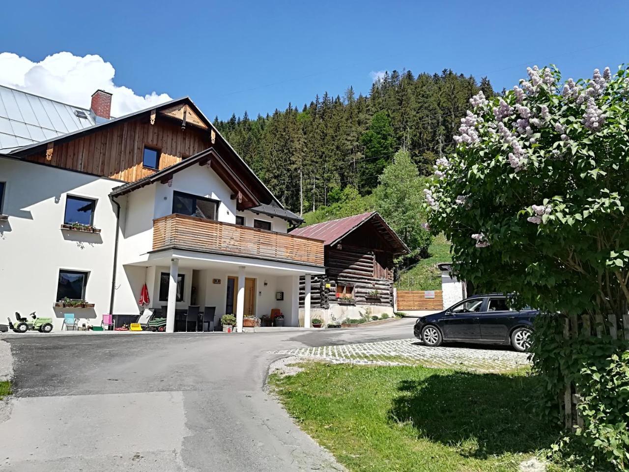 Appartement Grosswallner 拉德施塔特 外观 照片